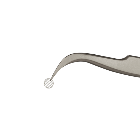 Adlerschnabel Pinzette